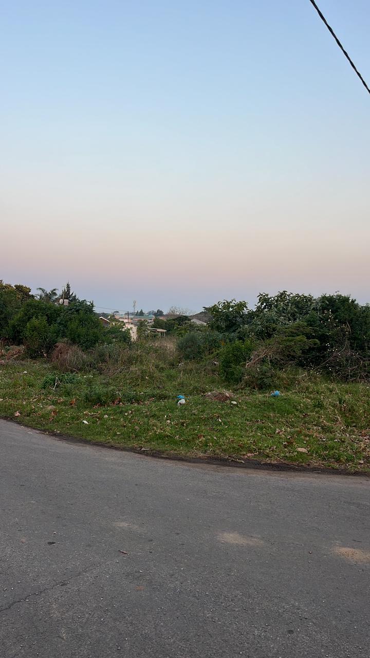 0 Bedroom Property for Sale in Berlin Eastern Cape